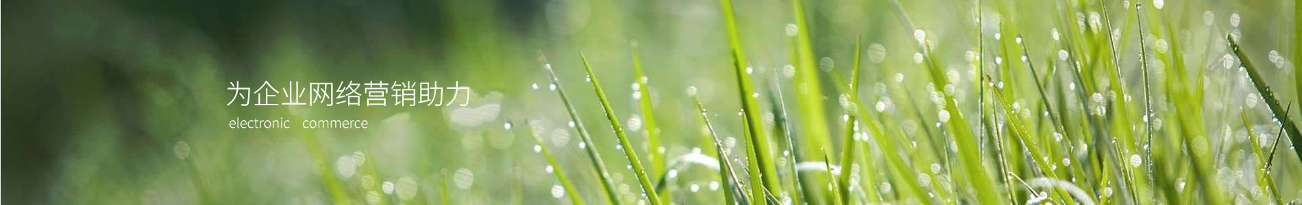 ӱǱҵ޹˾